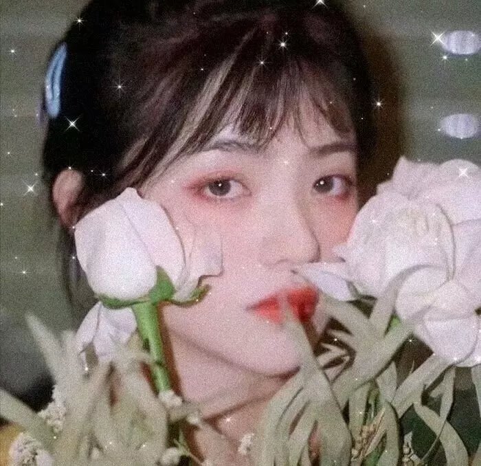 永不退缩：决不放弃