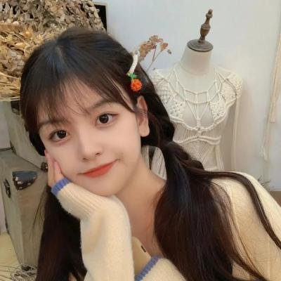 五个相扑的少年电影版